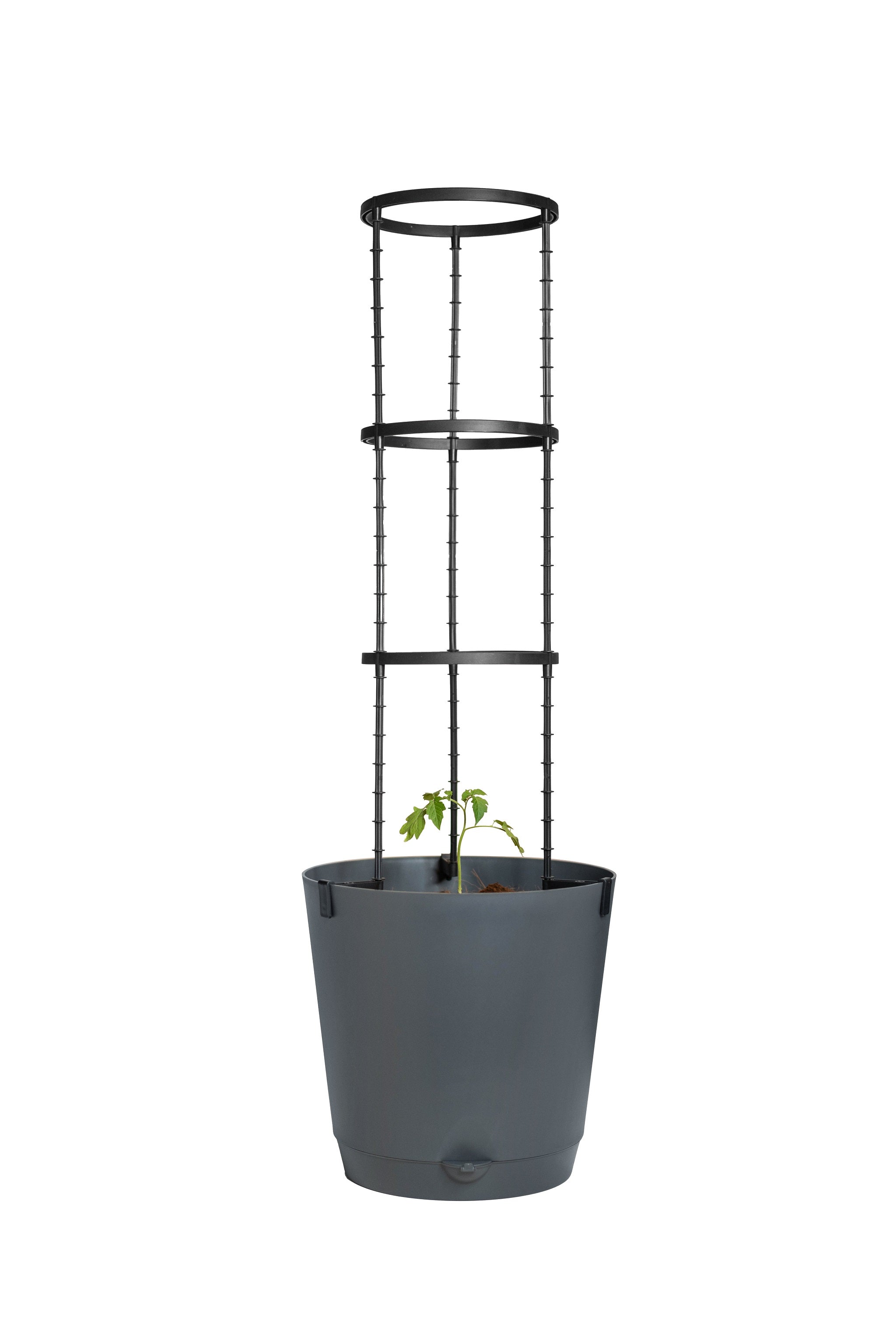 UrbanGrow Trellis Pot