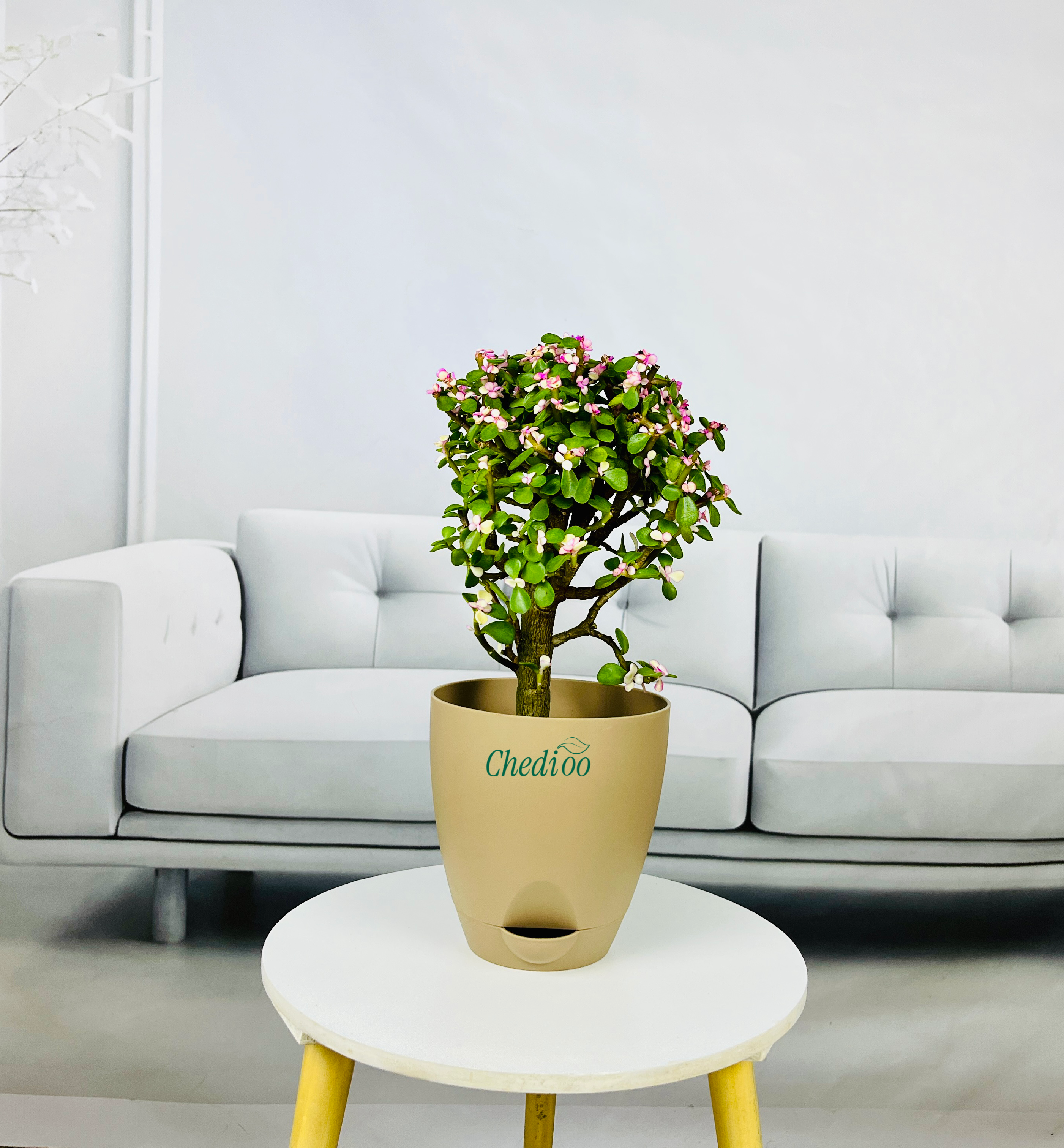 Pink Beauty Jade