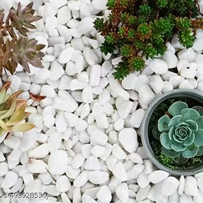 Polished White Pebbles