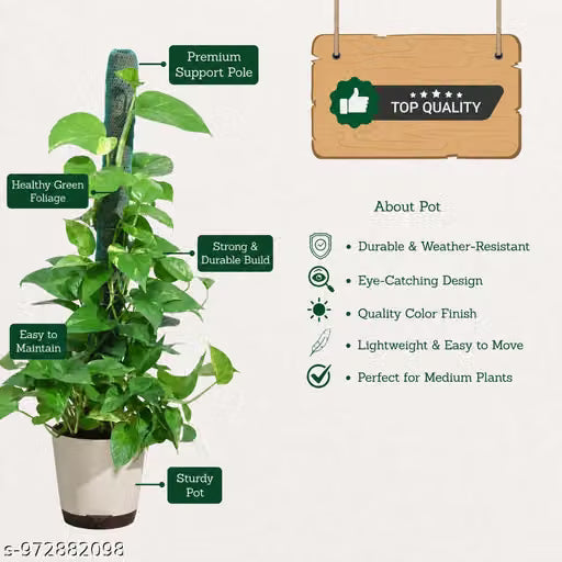 Moistick Moss &amp; Coir Pole 2 Ft