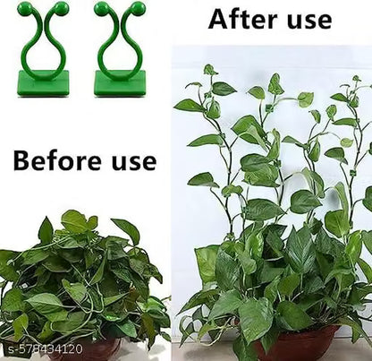 Wall Fixture Clips for Plant Climbing