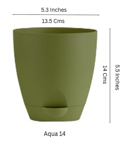 Aqua 5 inch