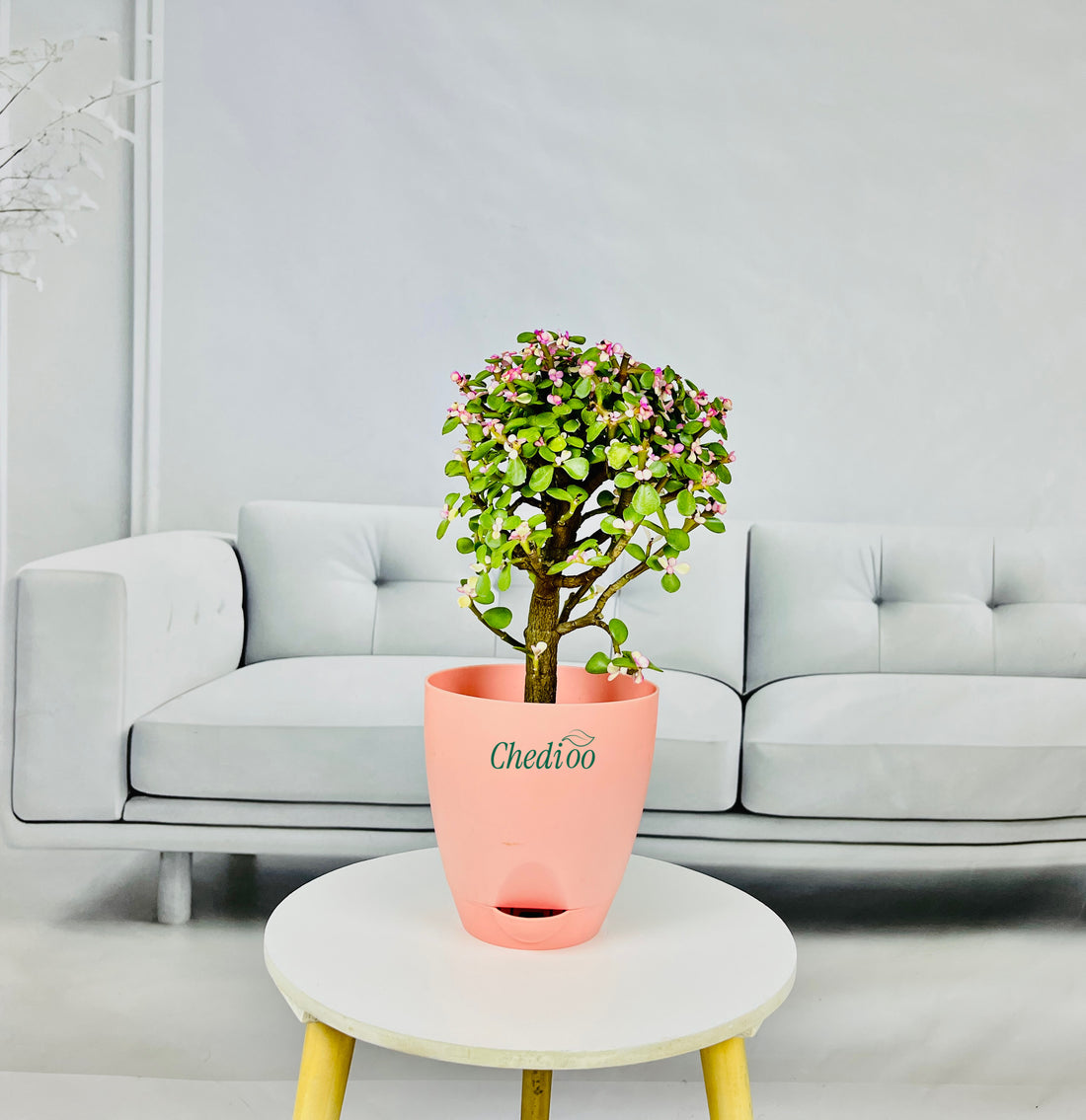 Pink Beauty Jade
