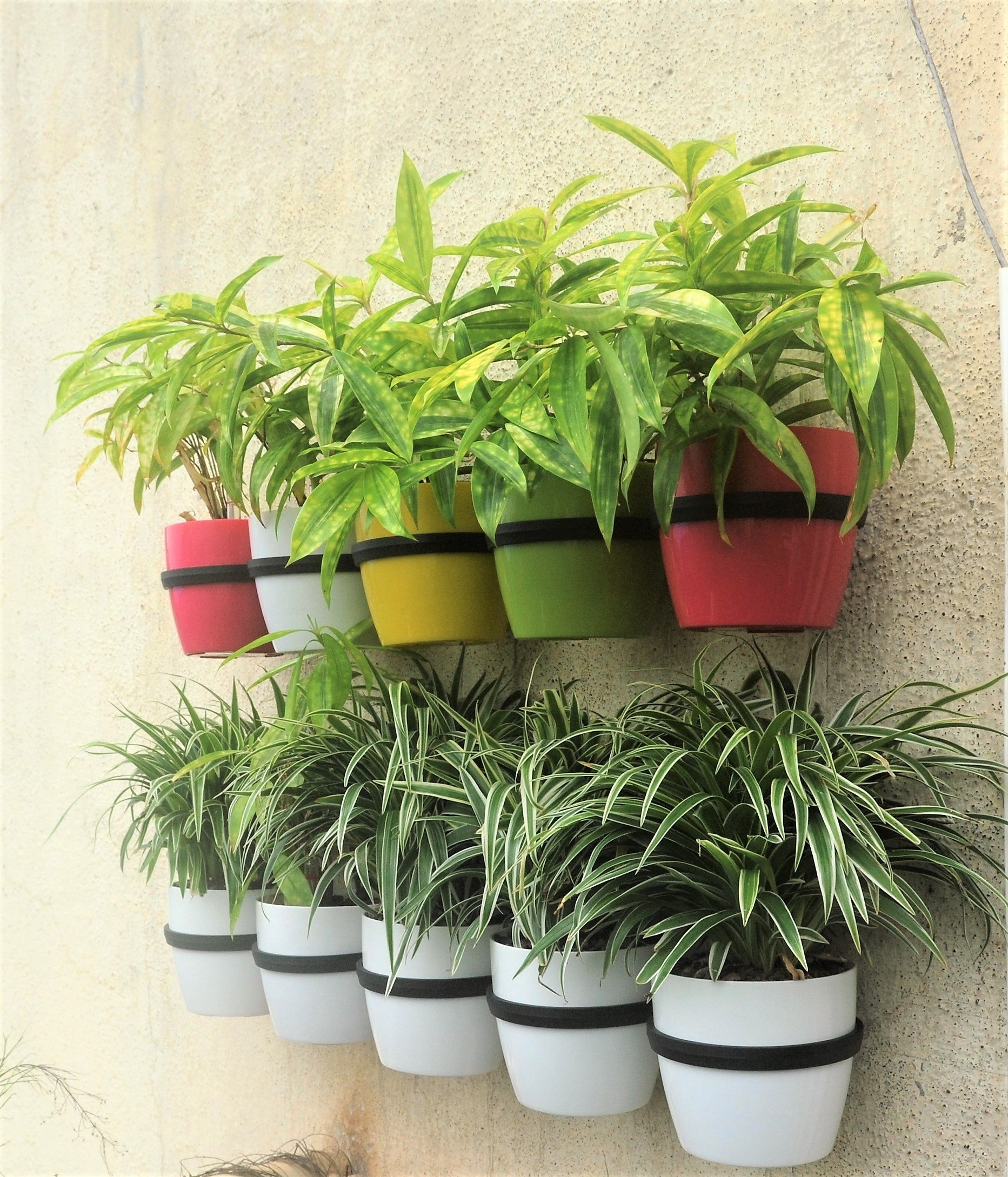 Hanging pots