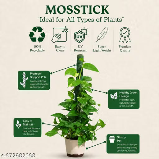 Moistick Moss &amp; Coir Pole 2 Ft