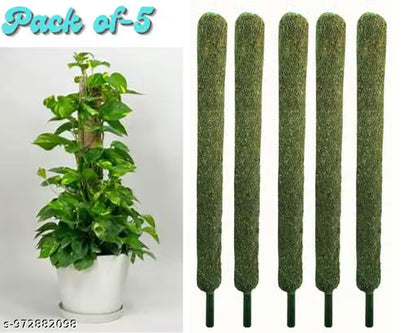 Moistick Moss &amp; Coir Pole 2 Ft