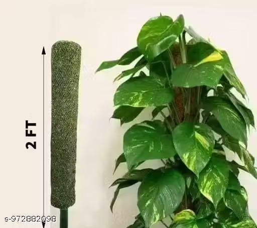 Moistick Moss &amp; Coir Pole 2 Ft