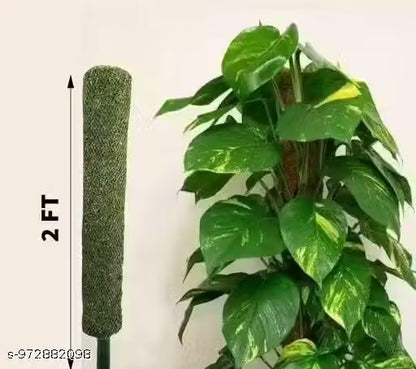 Moistick Moss &amp; Coir Pole 2 Ft